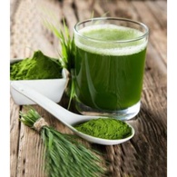 Барлейграс (матча із ячменю), 15шт/3г. Изображение №3