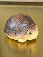 Ті-пет (чайний талісман) «Черепаха». Зображення №2