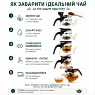 Чайник-заварник Sama Doyo В-02, 600 мл. Изображение №2